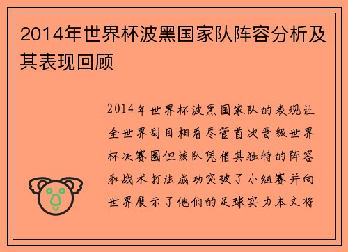 2014年世界杯波黑国家队阵容分析及其表现回顾