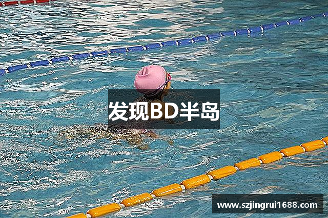 发现BD半岛